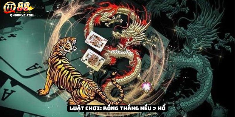Quy trình rồng hổ QH88